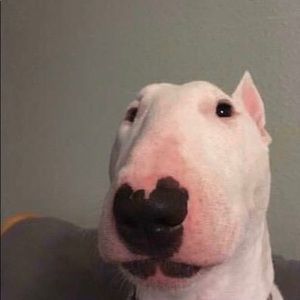 Meet your Posher, Joseph